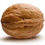 walnuts-contain-most-healthy-antioxidants_283